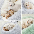 Cozy 2-in-1 Plush Cat Bed & Warm Pet House - Perfect for Cats and Small Dogs