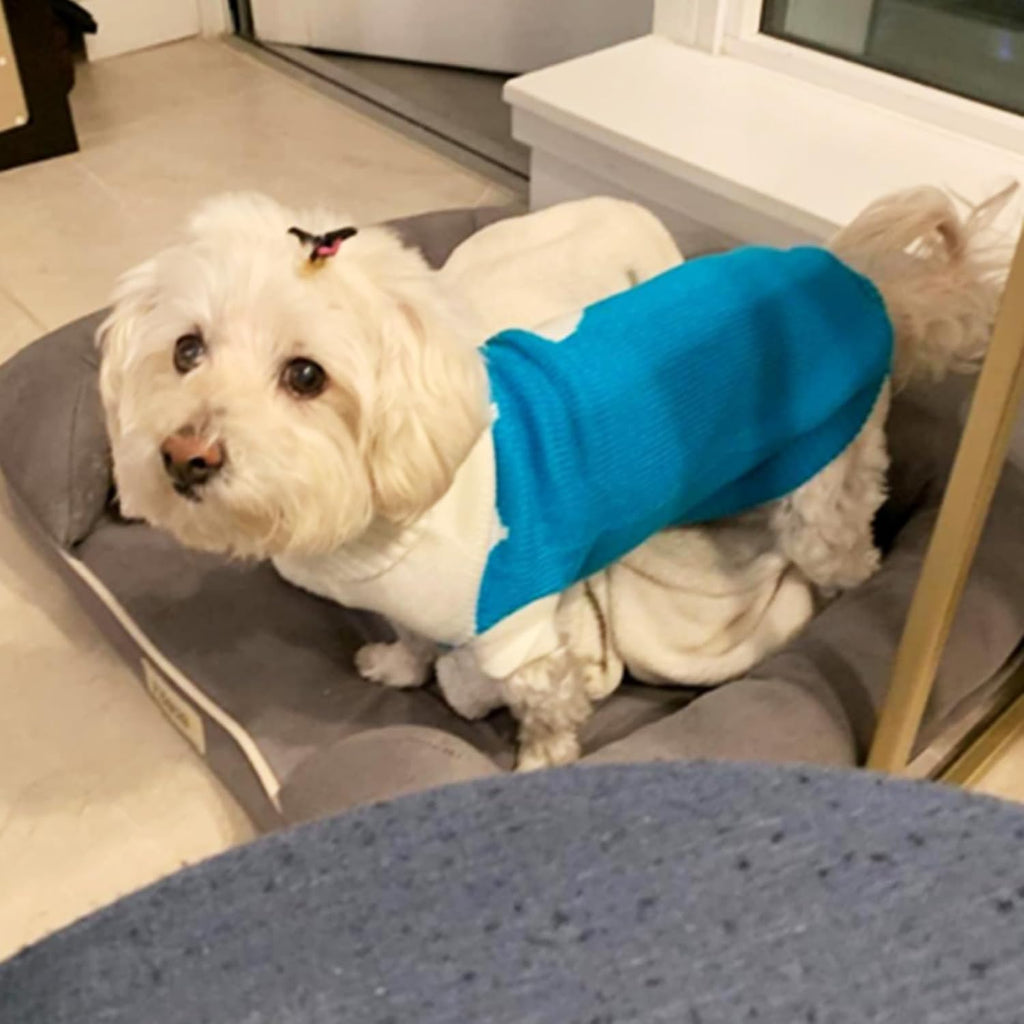 Pet Dog Sweaters Classic Knitwear Turtleneck Winter Warm Puppy Clothing Cut Strawberry and Heart Doggie Sweater (Sky Blue, Medium)