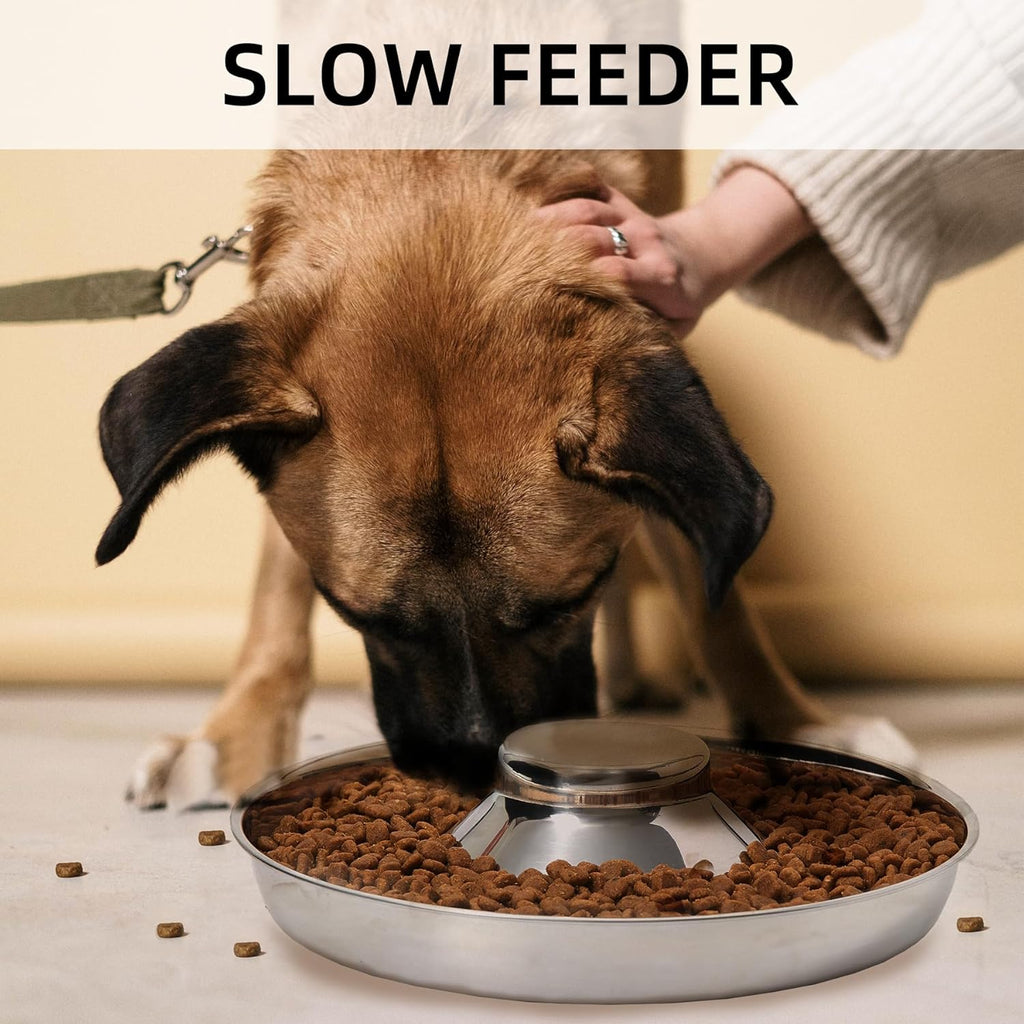 Stainless Steel Puppy Bowls, Set of 2 Puppy Feeder, Dog Food and Water Bowl, Food Feeding Weaning for Small Medium Large Dogs, Pets, M