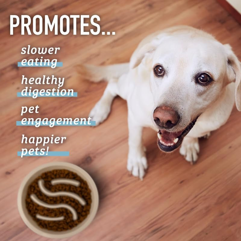 Engaging Slow Feeder Dog Bowl - Fun Cup Maze Puzzle Design for Healthy Eating, Perfect for All Breeds