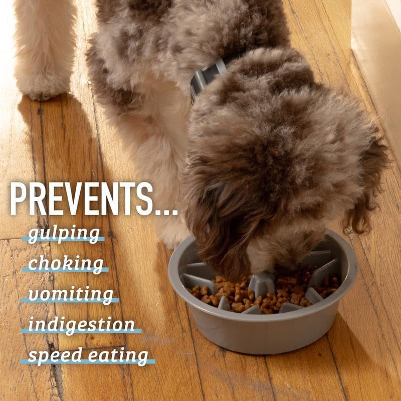 Engaging Slow Feeder Dog Bowl - Fun Cup Maze Puzzle Design for Healthy Eating, Perfect for All Breeds