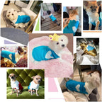 Pet Dog Sweaters Classic Knitwear Turtleneck Winter Warm Puppy Clothing Cut Strawberry and Heart Doggie Sweater (Sky Blue, Medium)