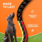 Heavy Duty Rope Bungee Leash for Large and Medium Dogs with Anti-Pull for Shock Absorption - No Slip Reflective Leash for Outside
