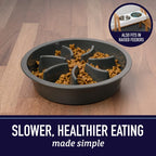 Engaging Slow Feeder Dog Bowl - Fun Cup Maze Puzzle Design for Healthy Eating, Perfect for All Breeds